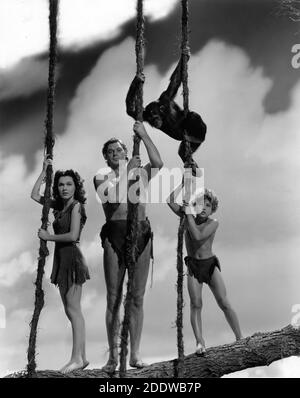 MAUREEN O'Sullivan JOHNNY WEISSMULLERJOHNNY SHEFFIELD et CHEETAH The Chimpanzee Holding Cordes de vigne portrait de publicité par CLARENCE SINCLAIR BULL pour TARZAN SECRET TREASURE 1941 réalisateur RICHARD THORPE basé sur des personnages créés Par Edgar Rice Burroughs Metro Goldwyn Mayer Banque D'Images