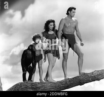 CHEETAH THE CHIMPANZÉ JOHNNY SHEFFIELD MAUREEN O'SULLIVAN ET JOHNNY WEISSMULLER Portrait publicitaire de CLARENCE SINCLAIR BULL pour LE TRÉSOR SECRET DE TARZAN 1941 réalisateur RICHARD THORPE basé sur des personnages créés par Edgar Rice Burroughs Metro Goldwyn Mayer Banque D'Images