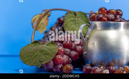 Fruits de raisin. Ingrédient pour les jus et le vin. Baies de raisin dans un récipient en aluminium. Arrière-plan bleu. Nourriture humaine Banque D'Images