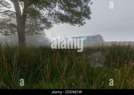 DRS classe 88 locomotive passant une toile d'araignées dans la brume sur la côte ouest de la ligne principale dans la campagne en milieu rural Cumbria avec un train de marchandises. Banque D'Images