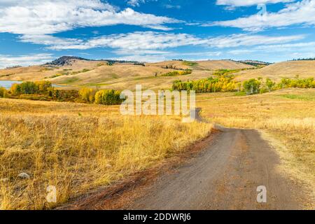 La route sinueuse de campagne allant dans la distance aux collines. Grande herbe jaune le long des côtés de la route, arbres verts au premier plan, lac, et avant Banque D'Images