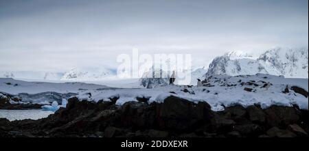 Impressions de l'Antarctique avec des montagnes enneigées. Banque D'Images