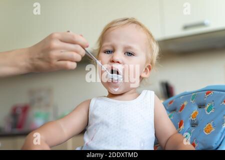 Mère nourrissant un adorable petit garçon blond caucasien avec du yaourt ou du fromage cottage au lait pour le déjeuner. Enfant mangeant en chaise haute à Banque D'Images