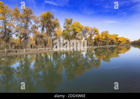 Le Tarim dans le Xinjiang en iminqak Banque D'Images