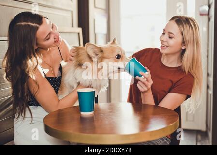 Deux belles femmes buvant du café avec un chien de corgi Banque D'Images