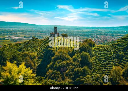 Collines Prosecco, vignobles et église San Lorenzo. Site de l'UNESCO. Farra di Soligo. Vénétie, Italie, Europe. Banque D'Images