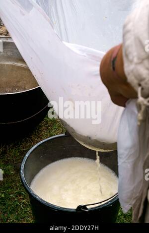 Production de fromage maison dans un grand chou-fleur au feu Banque D'Images