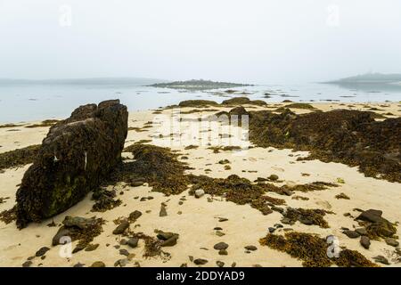 Côte près de Plouguerneau (Bretagne, France) par une journée calme et brumeuse en été Banque D'Images