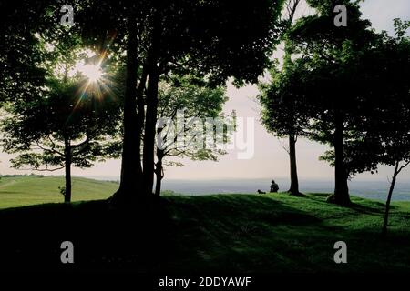 Un homme et un chien regardent un coucher de soleil au sommet d'une colline sur South Downs Way, Angleterre, Royaume-Uni Banque D'Images