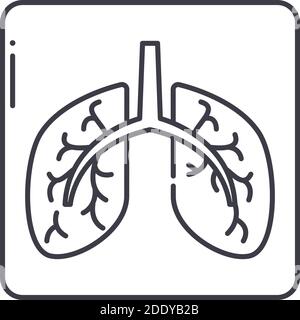 Icône de fluorographie, illustration linéaire isolée, vecteur de ligne mince, signe de conception de Web, symbole de concept de contour avec contour modifiable sur fond blanc. Illustration de Vecteur