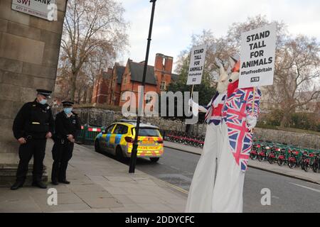 Des manifestants du groupe de défense des droits des animaux PETA se présentent contre la chasse au renard à Westminster, dans le centre de Londres. Banque D'Images