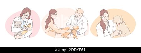 Vétérinaire professionnel avec animaux de compagnie pendant le travail concept. Jeune homme confiant et femmes médecins vétérinaires en uniforme blanc examinant et guérir le chien Illustration de Vecteur