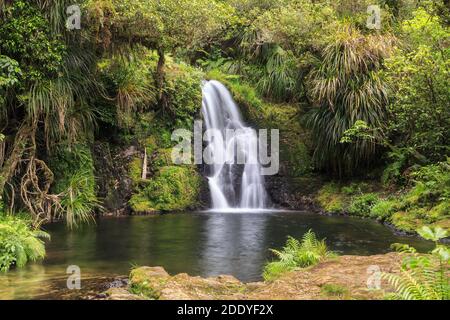 Les chutes de Whataroa, une magnifique cascade de « horsetail » au fond de la forêt indigène de Nouvelle-Zélande, en cascade dans une piscine Banque D'Images