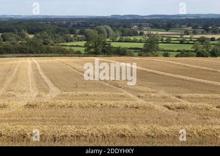 cotswold vale donne sur Moreton dans le marais Banque D'Images