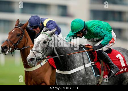 Caribean Boy, monté par Daryl Jacob (à droite) sur le chemin de gagner les Ladbrokes engagés à Safer Gambling novicess' Chase à Newbury Racecourse. Banque D'Images