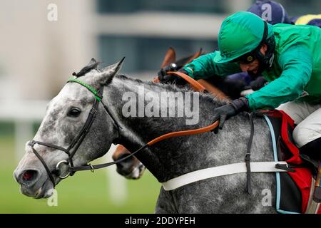 Caribean Boy, monté par Daryl Jacob (à droite) sur le chemin de gagner les Ladbrokes engagés à Safer Gambling novicess' Chase à Newbury Racecourse. Banque D'Images