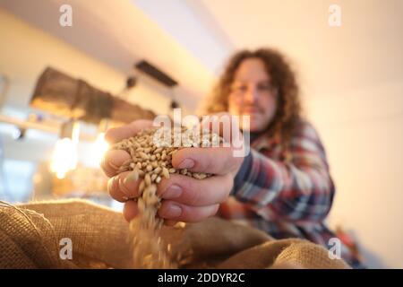 Gera, Allemagne. 27 novembre 2020. Le brasseur Kevin Pagenkopf laisse couler le malt d'orge à travers sa main dans sa brasserie d'exposition. Outre Pils, Hellem et Dark Lager, d'autres bières traditionnelles sont brassées, telles que Märzen ou Bockbier, qui peuvent être dégustées au robinet ou en bouteilles pour usage domestique. Credit: Bodo Schackow/dpa-zentralbild/dpa/Alay Live News Banque D'Images