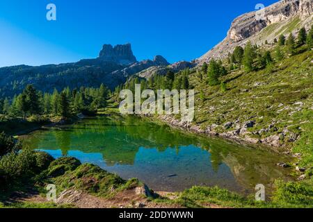 Vue panoramique du paysage d'été idyllique dans les Alpes avec le lac de montagne et alpages verts frais à l'arrière-plan Banque D'Images