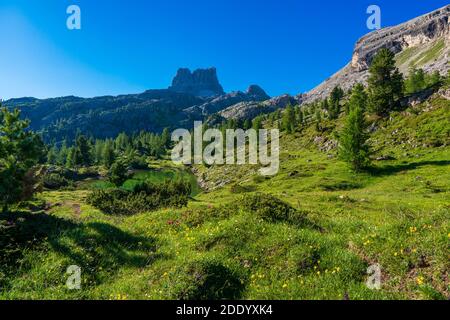 Passez Falzarego au printemps. Vallée pittoresque parmi les Dolomites. Les majestueuses Alpes. Trentin-Haut-Adige, Italie Banque D'Images