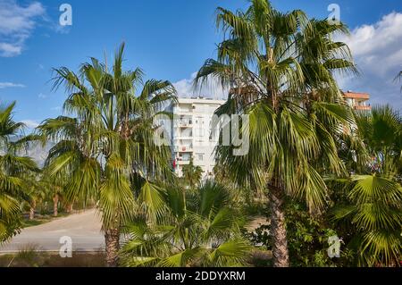 District de Finike sur la côte méditerranéenne de la province d'Antalya en Turquie. 4 novembre 2020 Banque D'Images