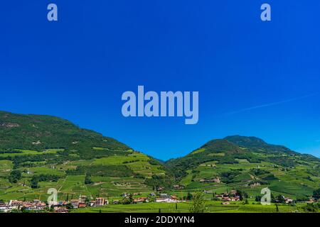 Vignes voir à Santa Maddalena Bolzano Droopweg 21. Trentin-haut-Adige Sud Tyrol, l'Italie, l'Europe. Banque D'Images