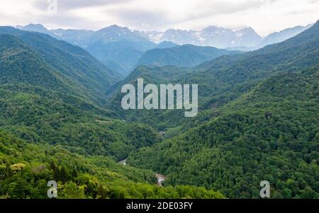 Paysage sauvage de montagnes géorgiennes. Amoureux des arbres verts et neige dans les collines Banque D'Images