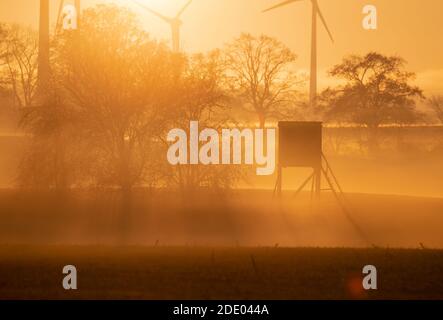 Pokrent, Allemagne. 27 novembre 2020. Un stand élevé pour les chasseurs se tient au bord de la forêt et peut être vu dans le brouillard contre le soleil couchant. Credit: Jens Büttner/dpa-Zentralbild/dpa/Alay Live News Banque D'Images