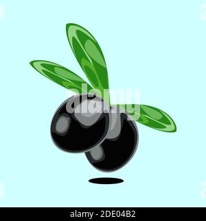 Olives noires isolées avec illustration vectorielle de feuilles Illustration de Vecteur