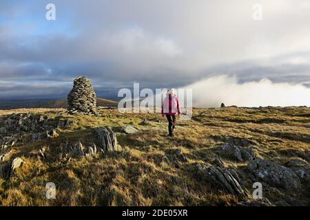 Walker sur Artlecrag Pike avec la vue vers la montagne de Selside Pike, Lake District, Cumbria, Royaume-Uni Banque D'Images