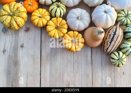 Les courges et les citrouilles hivernales sont bordent sur un fond en bois. Banque D'Images