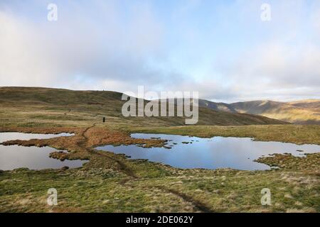 Branstree, Artle Pike, High Street, Kidsty Pike et High Raise vus des Tarns dans le Col entre Branstree et High Howe, Lake District, Cummbr Banque D'Images