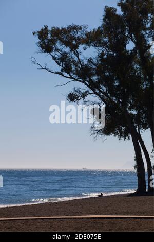 La plage de San Pedro, Costa del sol en Andalousie, Espagne Banque D'Images