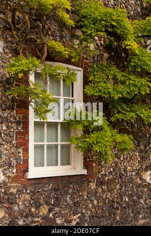 Une fenêtre à guillotine traditionnelle dans un ancien cottage en pierre de Norfolk près de Pull's Ferry à Norwich, Norfolk, Angleterre Banque D'Images