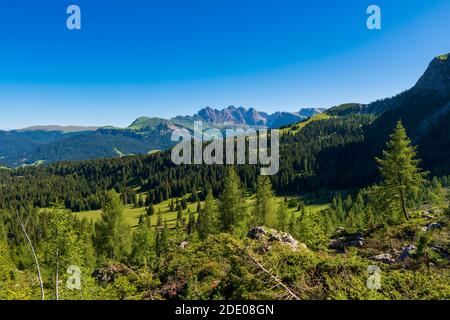 Paysage naturel incroyable dans les Alpes Dolomites. Printemps floraison prairie. Fleurs dans les montagnes. Fleurs fraîches de printemps. Vue sur les montagnes. Panorama Banque D'Images