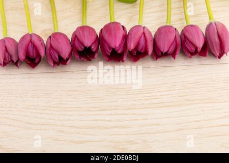 Tulipes roses dans une rangée au sommet sur bois arrière-plan Banque D'Images