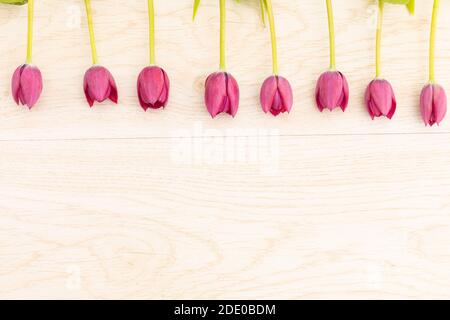 Tulipes roses dans une rangée au sommet sur bois arrière-plan Banque D'Images