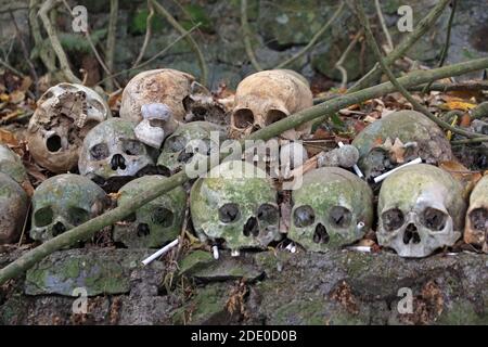 Crânes dans un cimetière du village de Trunyan, lac Batur, Bali, Indonésie Banque D'Images