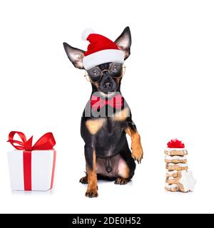noël prague router , prager hotler santa claus chien cokies pour les vacances, isolé sur fond blanc, comme une surprise Banque D'Images