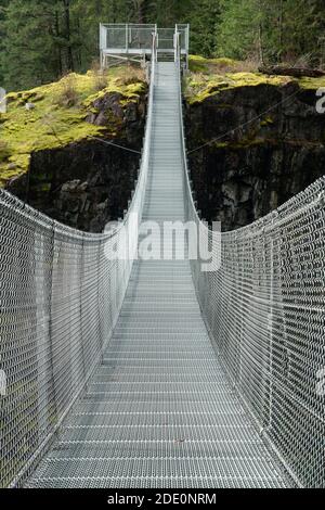 Un pont suspendu dans le parc provincial Elk Falls à Campbell Rivière au Canada Banque D'Images