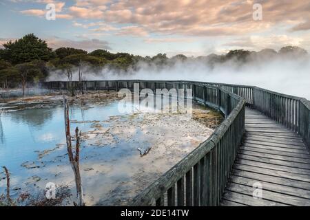 Kuirau Park, géothermie, Rotorua, Bay of Plenty, Île du Nord, Nouvelle-Zélande, Pacifique Banque D'Images