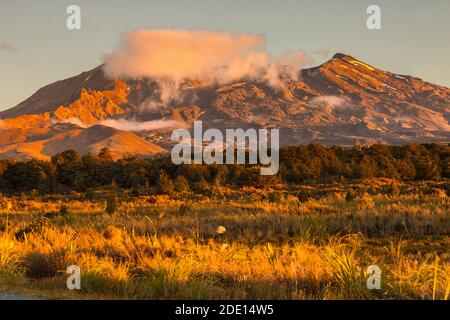 Mont Ruapehu au coucher du soleil, Parc national de Tongariro, site classé au patrimoine mondial de l'UNESCO, Île du Nord, Nouvelle-Zélande, Pacifique Banque D'Images