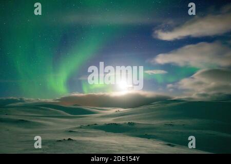 Paysage enneigé éclairé par la lune dans le ciel étoilé pendant les aurores boréales (Aurora Borealis), Skarsvag, Nordkapp, Troms og Finnmark, Norvège Banque D'Images