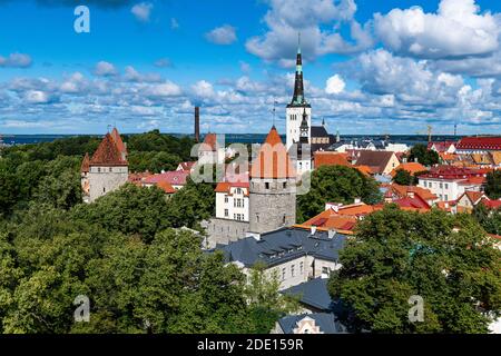 Vue sur la vieille ville de Tallinn, site classé au patrimoine mondial de l'UNESCO, Estonie, Europe Banque D'Images