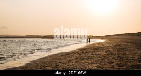 Camber Sands at Sunset, East Sussex, Angleterre, Royaume-Uni, Europe Banque D'Images