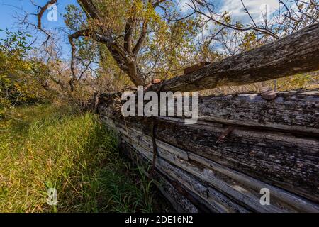 La vieille grange demeure au site historique de Caroline Lockhart Ranch, dans le terrain de loisirs national de Bighorn Canyon, près de Lovell, Wyoming, États-Unis Banque D'Images