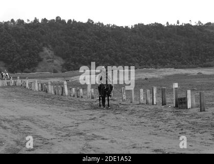 Un cavalier est en marche le long de la mer de sable de Autour du Mont Bromo le matin Banque D'Images