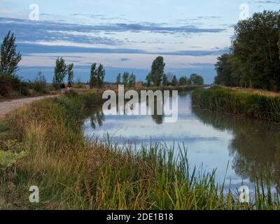 Les pèlerins sur le Camino marchent à l'aube le long du Canal de Castilla - Boadilla del Camino, Castille et Leon, Espagne Banque D'Images