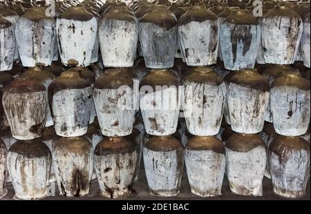 Pots à vin dans un domaine viticole de riz local, Wuxi, province de Jiangsu, Chine Banque D'Images