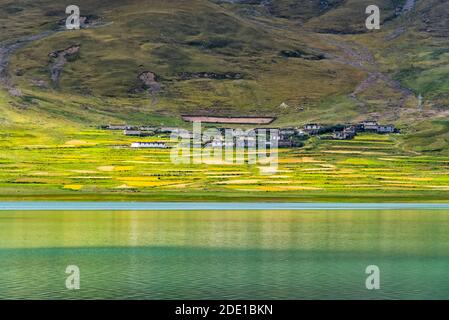 Champ d'orge et village sur la rive du lac Yamdrok (Yamdrok Yumtso), Tibet, Chine Banque D'Images