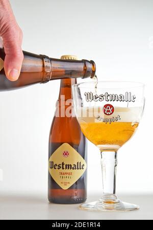 BRUXELLES, BELGIQUE - 27 NOVEMBRE 2020 : bouteille et main de Male versant un verre d'un authentique trappiste de Westmalle Banque D'Images